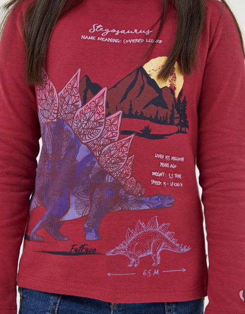 Kid’s Stegosaurus Graphic T Shirt