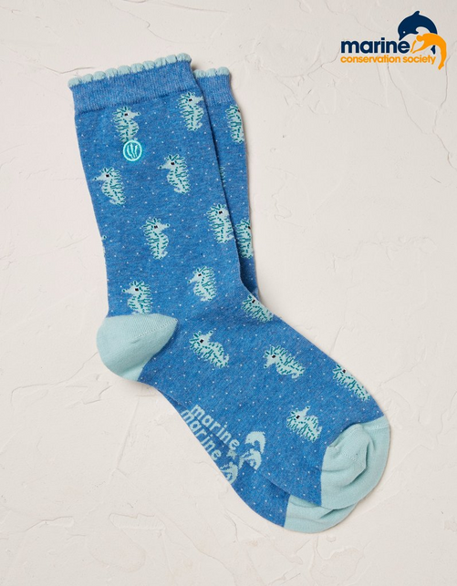 1 Pack MCS Seahorse Socks
