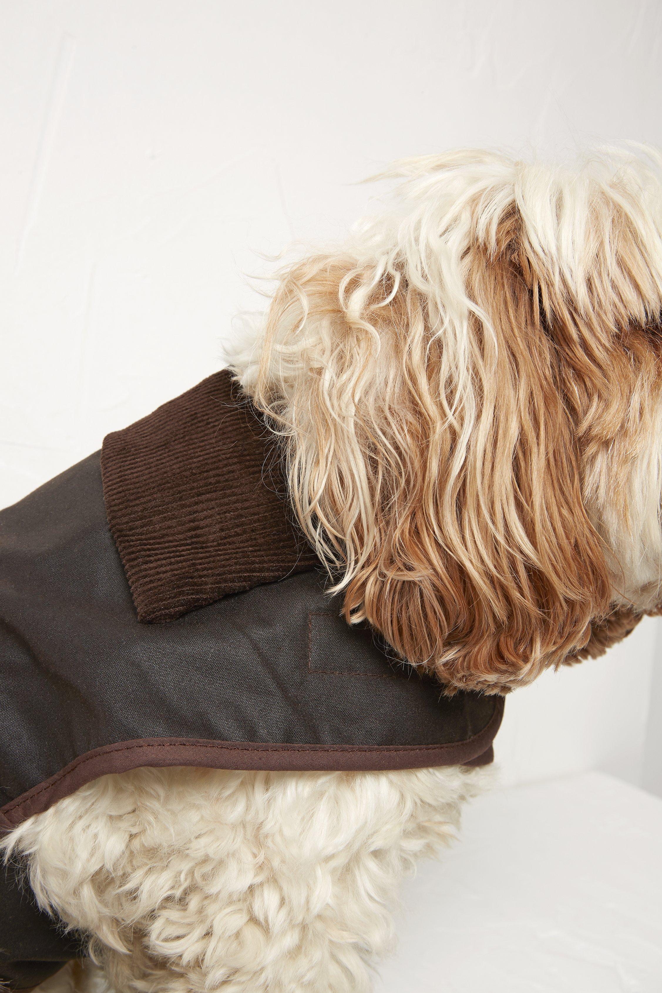 Hm on sale dog coat