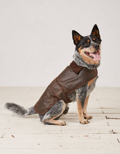 55cm Sussex Dog Coat