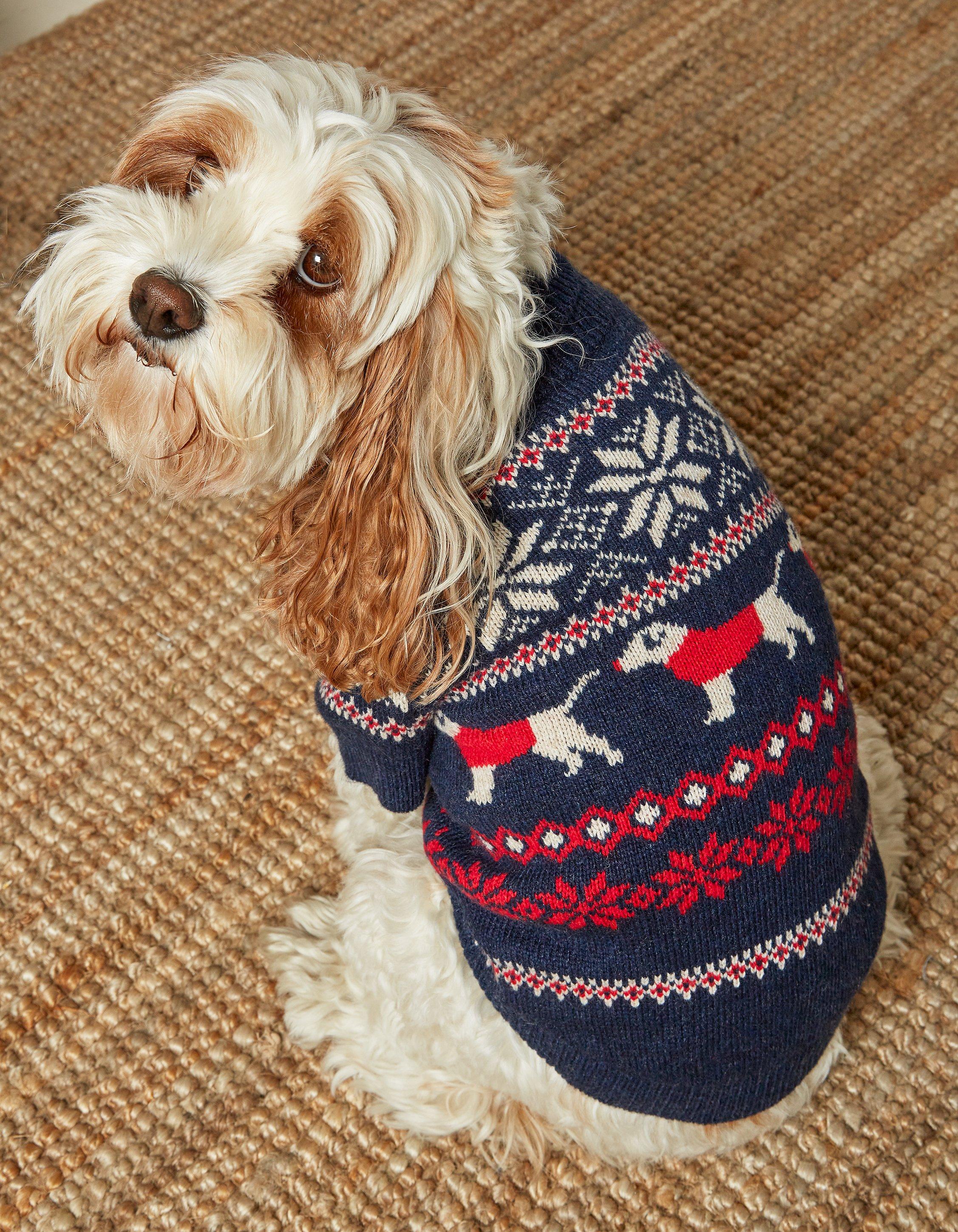 Large dog 2024 christmas jumper