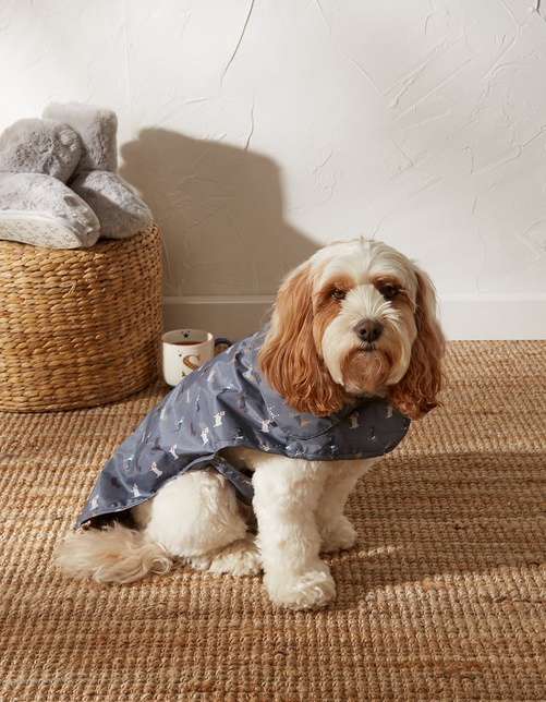 45cm Marching Dogs Raincoat