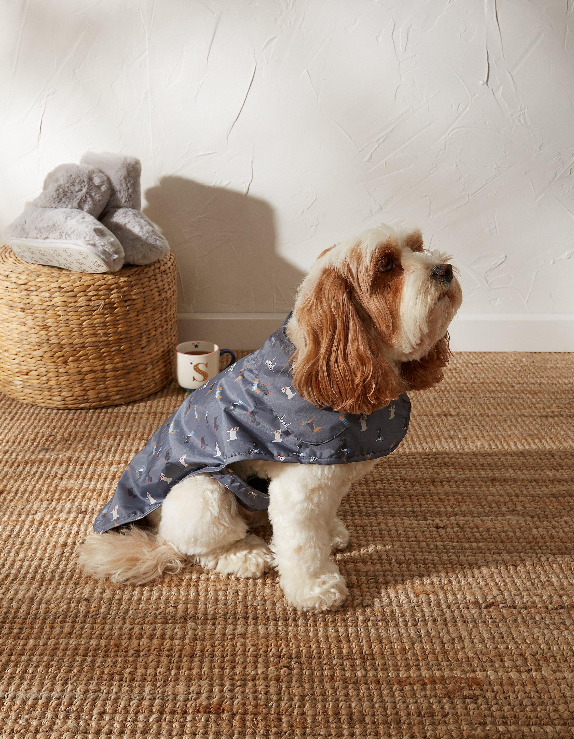 Cockapoo raincoat clearance