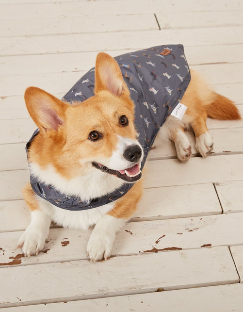 50cm Marching Dogs Raincoat