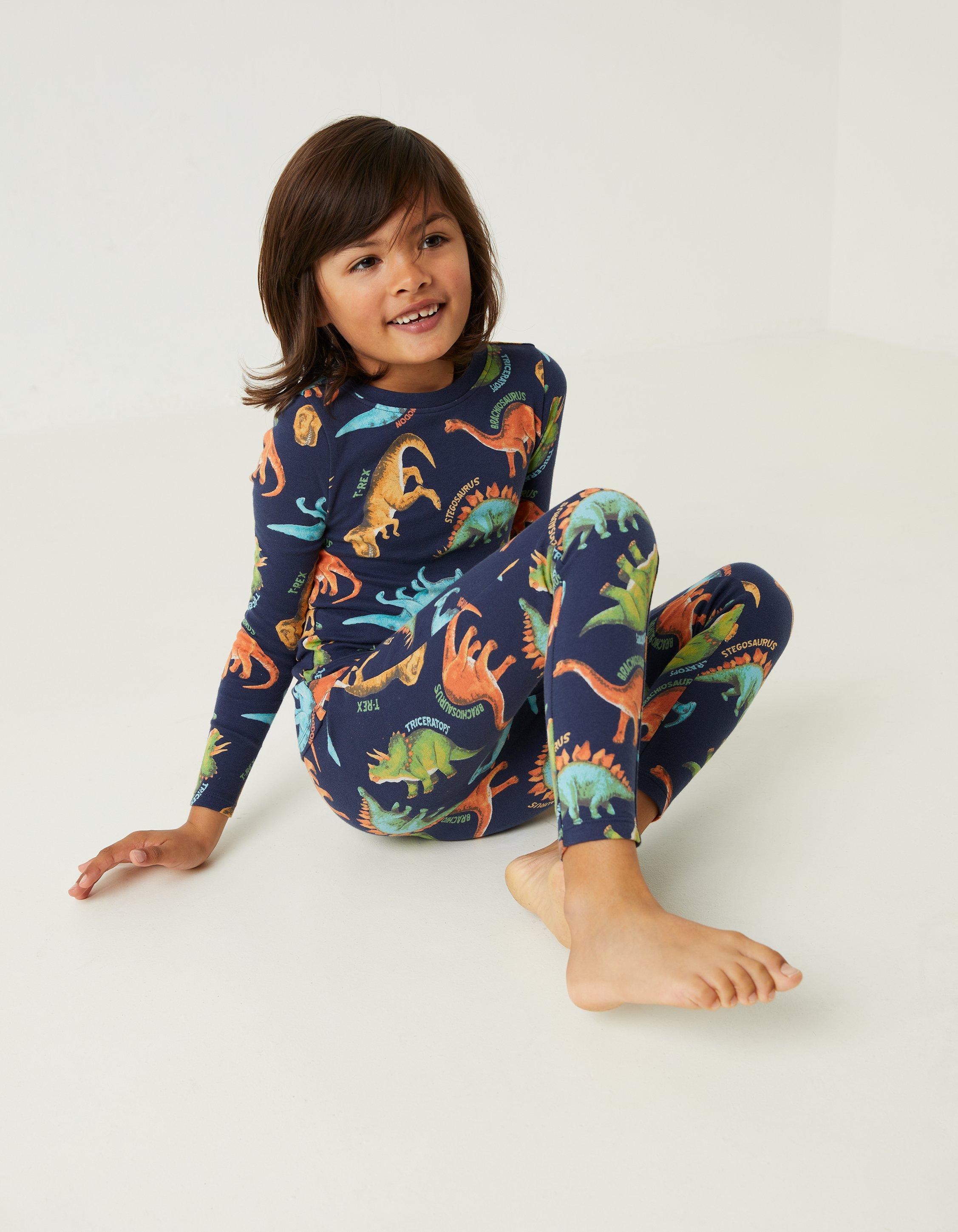 Boys Long Sleeve Birthday Dino Snug Fit Cotton 2-Piece Pajamas