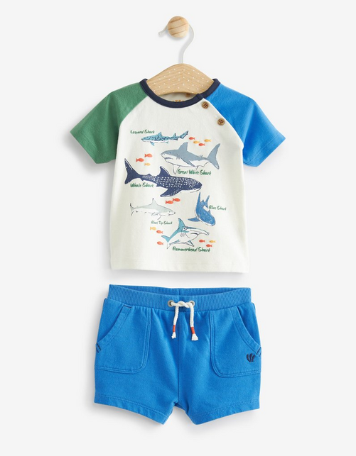 Kid’s Shark Graphic T-Shirt and Shorts Set