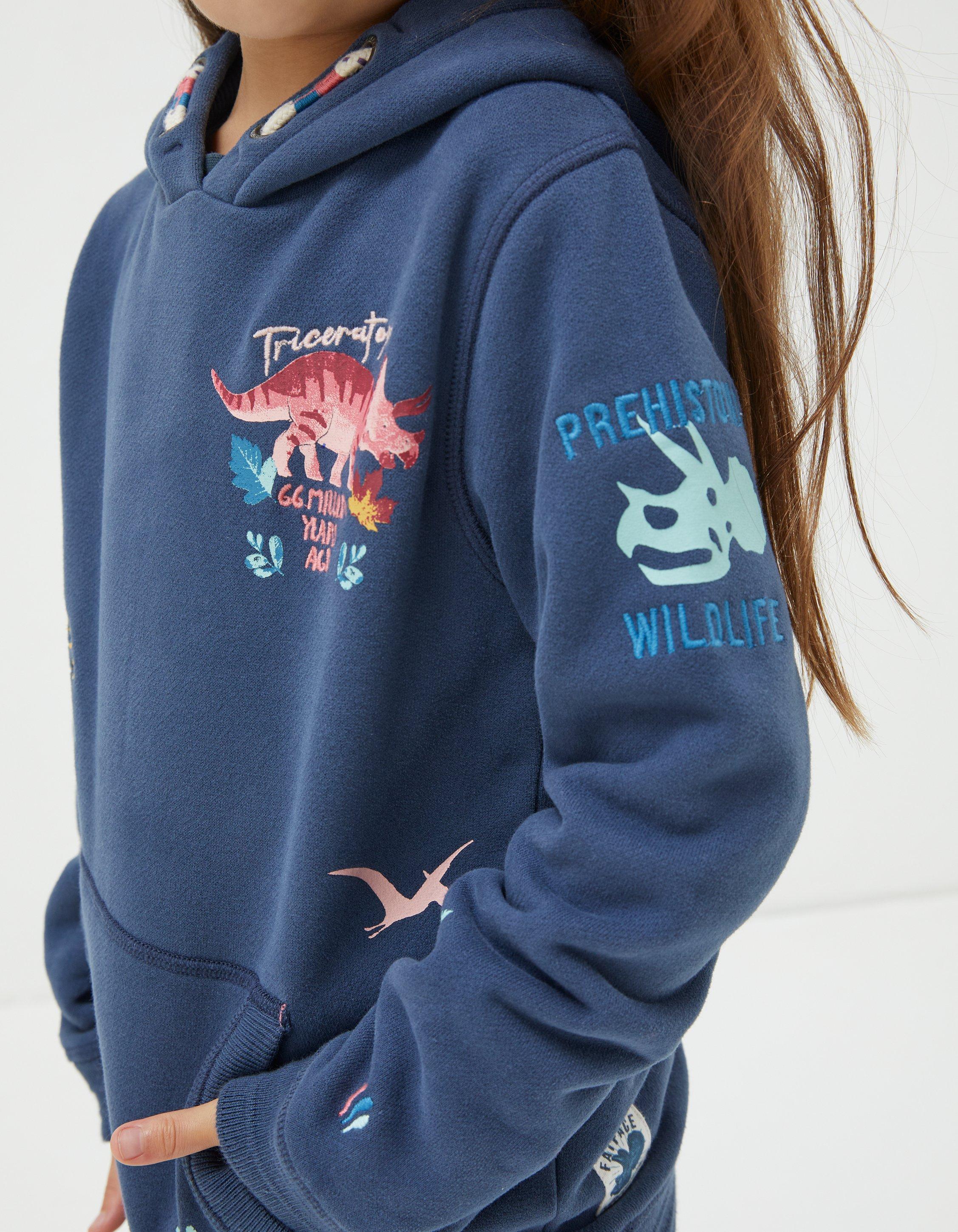 Girl hot sale dinosaur hoodie