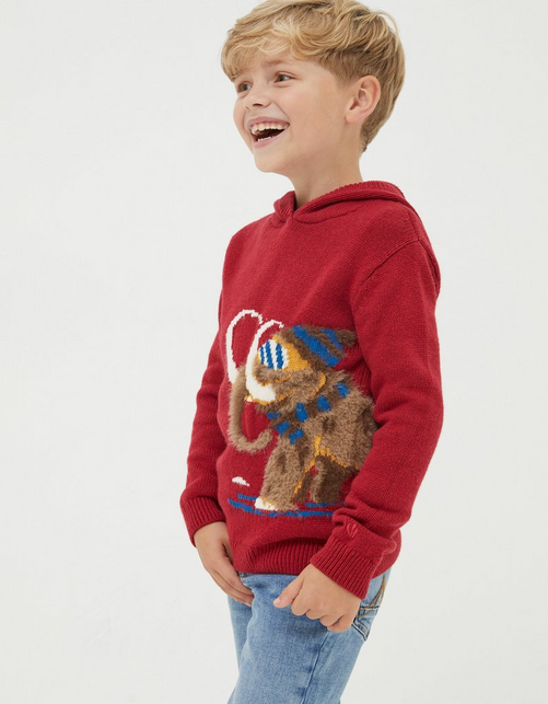 Kid’s Wilfred Mammoth Hooded Jumper