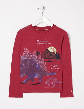 Stegosaurus Graphic T Shirt