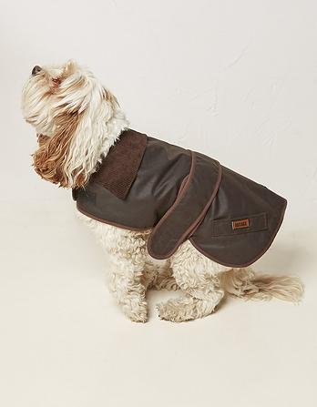 35cm Sussex Dog Coat