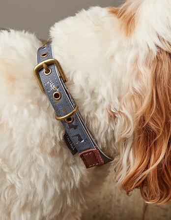 Small Marching Dogs Collar