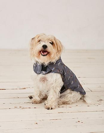 35cm Marching Dogs Raincoat
